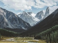 重新审视糖心vlog入口：冷门视角揭秘，评论区变化背后的真相