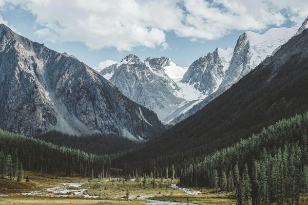 糖心vlog下载安装为什么明明不吵却越看越悬，不少人后知后觉才发现问题不小，别怪大家反应大，确实有触发点